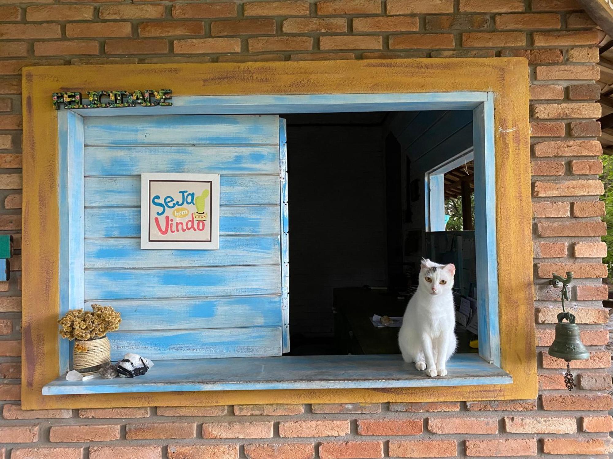 Hotel Refugio Do Corsario-Imbassai-Ba Zewnętrze zdjęcie